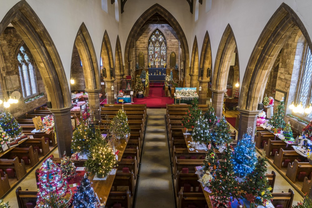 best 28 cannock christmas trees 7ft cannock pre best 28 cannock christmas trees 7ft cannock pre